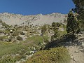2014 Mt Baldy Cali 046